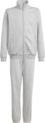 Immagine prodotto di Tute Adidas All Szn Graphic IS4658