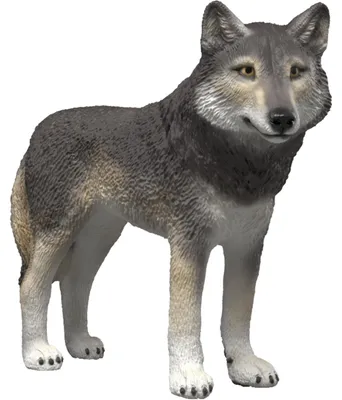 Zdjęcie produktu dla schleich WILD LIFE 14991, 3 lat(a), Wielobarwny, Plastik