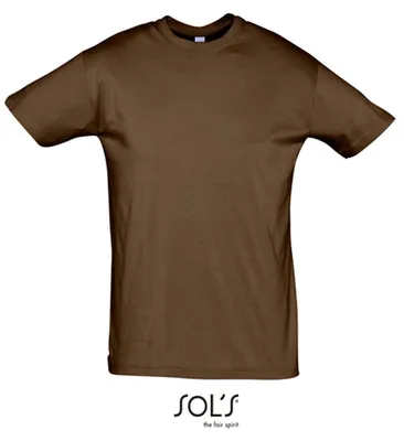 Image de SOLs 11380 | Regent 150 T-Shirt Hommes - Couleur : Earth - Taille : L
