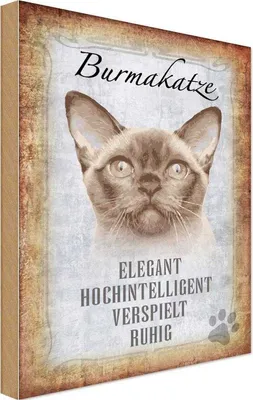 Produktbild von vianmo Holzschild 18x12 cm Burmakatze Katze Tier Haustier
