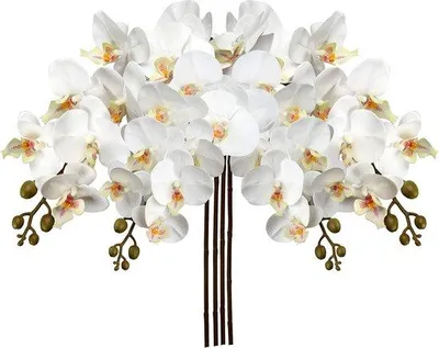 Produktbild von Famanu Kunstorchidee Realistische Phalaenopsis mit 9 Blüten - 87,8 cm