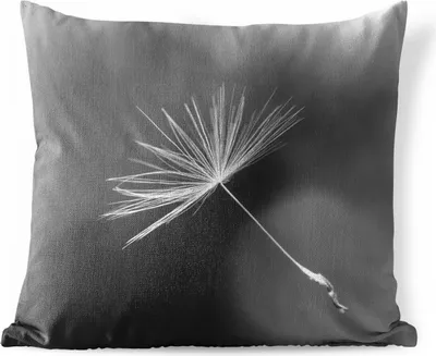 Produktbild von MuchoWow® Outdoor Kissen - Löwenzahnsamen in Schwarz und Weiß - 40x40 cm - Wetterfest - Lounge Kissen - Kopfkissen - Interieur - Polster mit Bild