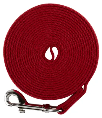 Immagine prodotto di Corda da allenamento Interpet per cani e cuccioli - Guinzaglio leggero per passeggiate, realizzato in nylon