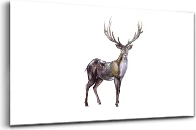 Produktbild von Bilder auf glas - Einteilig - Wanddekoration - Glas Bilder - 120x60 - Hirsch König des Waldes