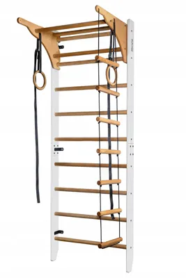 A wall-mounted indoor climbing frame with wooden rungs and accessories.