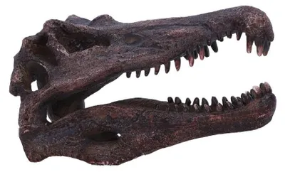 Spinosaurus-Schädel-Replik 16 cm, Harz, handbemalt