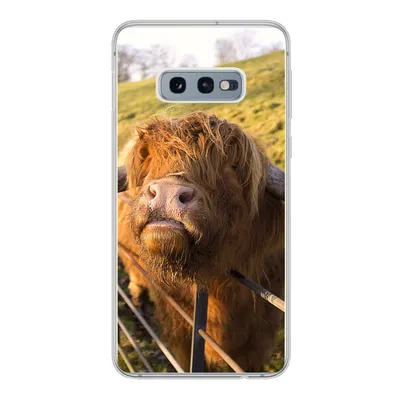 Produktbild von MuchoWow® Handyhülle Schutzhülle Hülle für Samsung Galaxy S10e Scottish Highlander - Zaun - Gras Silikon Softcase Handy Hülle - Handy