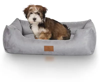 Immagine prodotto di Cuccia per cani Dreamline M-L - 85 x 63 cm | Beige