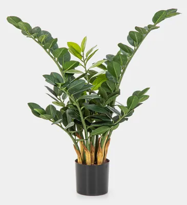 Produktbild von artplants.de Kunst Zamioculcas Zamiifolia AKONO, 65cm - Grünpflanze künstlich