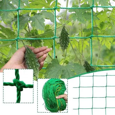 Immagine prodotto di Rete per piante rampicanti - Rete da giardino per esterni - Rete per cetrioli - Pomodori - Graticcio da 27 metri - Rete di sostegno per frutta - Giardino - Fagioli (1,8 m x 1,8 m)