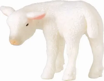Produktbild von Collecta 88392 Lamm zurückblickend 5 cm Bauernhoftiere
