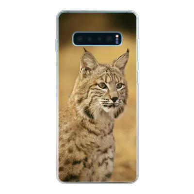 Produktbild von MuchoWow® Handyhülle Schutzhülle Hülle für Samsung Galaxy S10 Lite Luchs - Braun - Gras Silikon Softcase Handy Hülle - Schutz