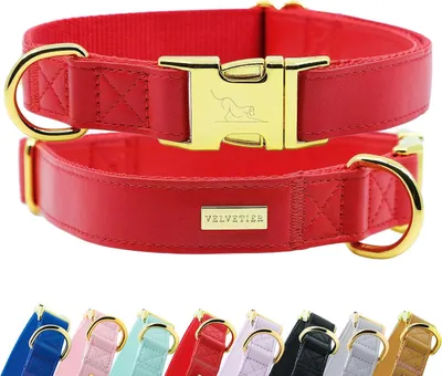 Obrázok produktu pre Obojok pre psov 41 až 63 cm, , červená, pre prechádzku