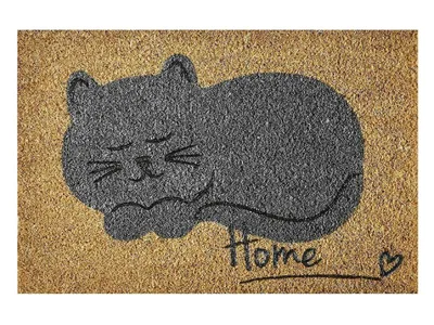 Produktbild von Fußmatte Kokosmatte Gummi Sauberlaufmatte Schmutzfangmatte Türmatte Türvorleger, Größe:60x40 cm, Motiv:sweet cat