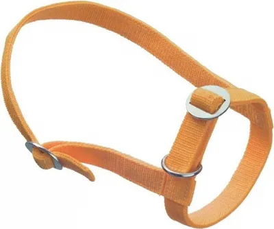 Produktbild von Kälberhalfter aus Nylon stufenlos verstellbar