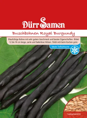 Produktbild von Buschbohne Royal Burgundy | Buschbohnensamen von Dürr Samen