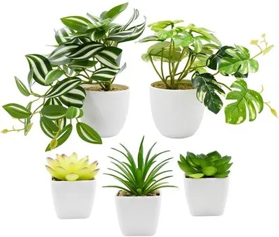 Image de Mini-plantes artificielles en pot en plastique, plantes artificielles pour la maison et le bureau à domicile