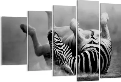 Produktbild von Bild auf Leinwand - Leinwandbild - Zebra Streifen Tier wild - 150x100cm - Wand Bild - Wanddeko - Leinwanddruck - Bilder - Kunstdruck - Wanddekoration - Leinwand bilder - Wandkunst - EG150x100-2699