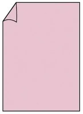 Image de RÖSSLER 220726523 Carte individuelle Coloretti, A4, 165g/m², 10 pièces, rose