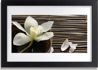 Produktbild von Bild 30x20 MDF-Rahmen Wandkunst Natur Blume Pflanze
