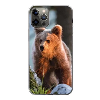 Produktbild von MuchoWow® Handyhülle Schutzhülle Hülle für iPhone 12 Pro Bär - Braun - Tier Silikon Softcase Handy Hülle - Abdeckung