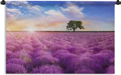 Produktbild von MuchoWow® Wandteppich Wandbehang Lavendel - Baum - Sonnenuntergang - Lila 60x40 cm Tapisserie Dekoration Wandtuch - Wanddekorationen