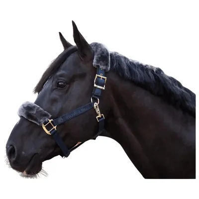 Produktbild von Bucas Halfter Show Line Fellhalfter Navy/Grey Full
