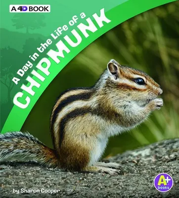 Produktbild von A Day in the Life of a Chipmunk