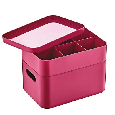 Immagine prodotto di Herzberg HG-OKY676: Scatola organizer multiuso a 2 strati Rosa