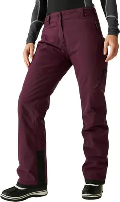 Image de Pantalon Dare2b Ice Violet 46 / Regular Femme Violet 46