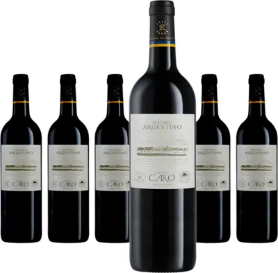 Produktbild von 6 x Bodegas Caro Malbec Argentino