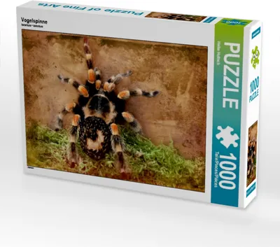 Produktbild von Calvendo Vogelspinne 1000 Teile Puzzle quer 640x480mm, Hultsch Heike; 7288292