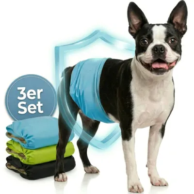 Produktbild von HUND IST KÖNIG Hundewindeln für Rüden [3 Stk], M (Taille 38-50 cm) - saugstarke Hundewindeln bei Inkontinenz, umweltfreundliche Rüdenwindel waschbar