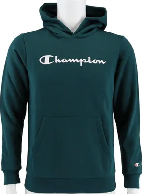Produktbild von Sweatshirts Champion Big Logo Print 305358GS549