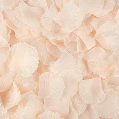 Immagine prodotto di 100 petali di rosa, bianchi