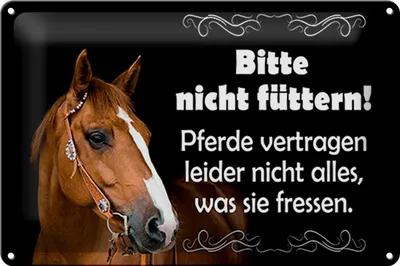 Produktbild von Blechschild bitte nicht füttern Pferde, 30 x 20  cm, Blechschilder Bauernhof Landwirt Pony