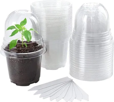 Produktbild von Famanu Anzuchtbeet mit Feuchtigkeitskuppel - 30 Töpfe, transparent