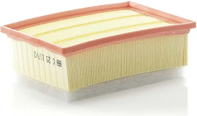 Zdjęcie produktu dla Filtr powietrza MANN-FILTER C 25 117/2