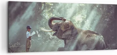 Produktbild von Bild auf Leinwand - Leinwandbild - Elefant Dschungel Stoßzahn - 120x50cm - Wand Bild - Wanddeko - Leinwanddruck - Bilder - Kunstdruck - Wanddekoration - Leinwand bilder - Wandkunst - AB120x50-3486