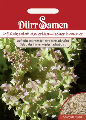 Produktbild von Dürr-Samen - Pflücksalat Amerikanischer Brauner - Saatgut - 0028