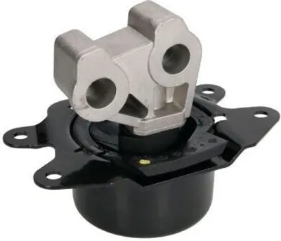 Obrázok produktu pre Motorový nosič REINHOCH RH11-5065
