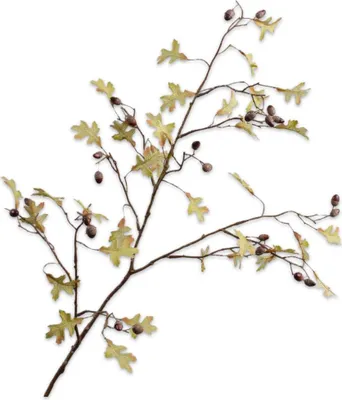 Produktbild von Silk-ka Kunstblume - Kunstzweig Eichenlaubzweig grün 96cm