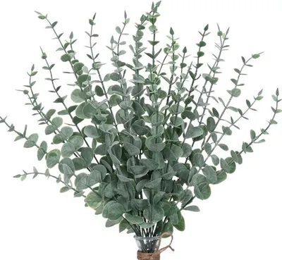Produktbild von Unyqoos Set mit 30 getrockneten Eukalyptus-Stielen für Hochzeiten und Wohnraumdekoration