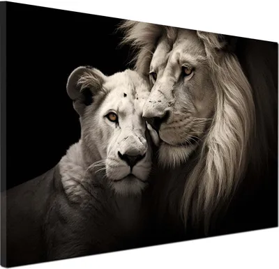 Produktbild von Afrika Löwenpaar Löwen Wandbild Leinwandbild Black Style Kunstdruck XL Wanddeko: 150x100x4cm