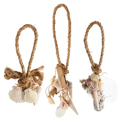 Produktbild von Maritime Deko Set 3 TLG. Tau + Muscheln braun beige 27 cm