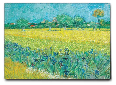 Immagine prodotto di Vincent Van Gogh - Campo con iris vicino Arles - 140L x 100l cm - Quadro Tela Canvas Telaio Standard