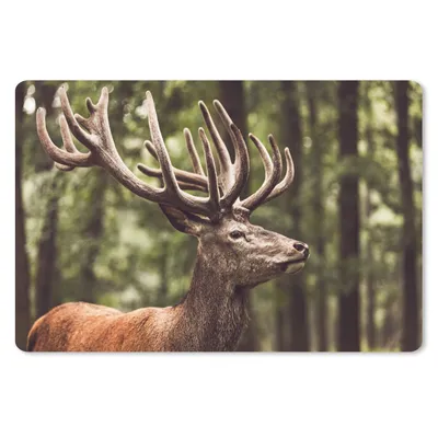 Produktbild von MuchoWow® Schreibtischunterlage Hirsch - Natur - Geweih - Wald - Tiere 60x40 cm - XXL Mauspad - Großes Mauspad