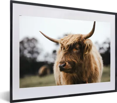Produktbild von MuchoWow® MuchoWow® Gerahmtes Poster Schottisches Hochlandrind - Tiere - Hörner 60x40 cm - Poster mit zchwarzem Bilderrahmen - Schlafzimmer - Plakat in Rahmen - Drucken