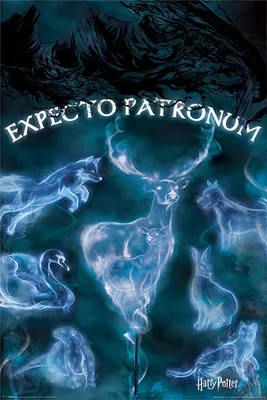 Image de Harry Potter - Patronus - Film cinéma - Poster - Taille 61x91,5 cm