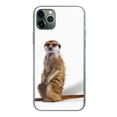 Produktbild von MuchoWow® Handyhülle Schutzhülle Hülle für iPhone 11 Pro Max Erdmännchen - Tiere - Fell Silikon Softcase Handy Hülle - Schutz